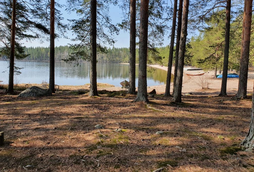 Tentsile Koli Camping Käränkkä